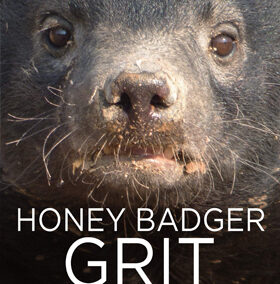 Honey badger grit
