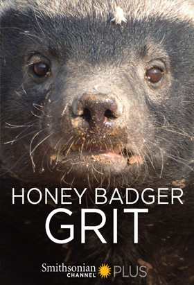 Honey badger grit