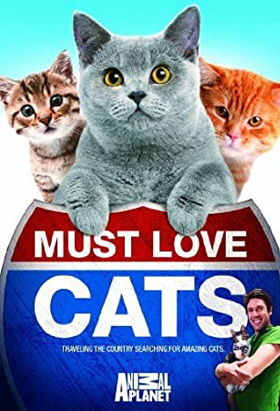 must love cats