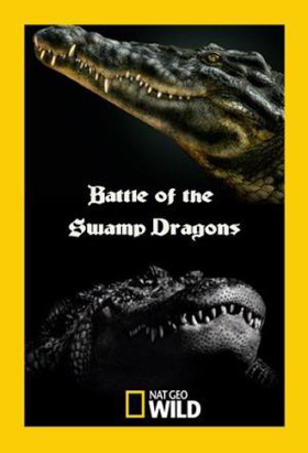 Swamp dragons